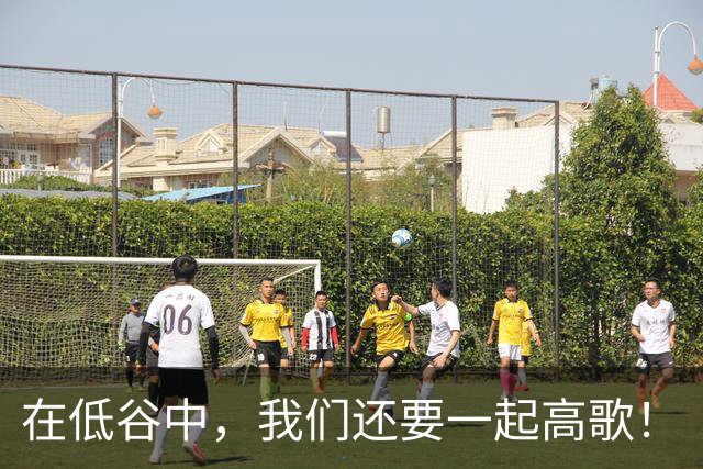 在低谷中，我们还要一起高歌！